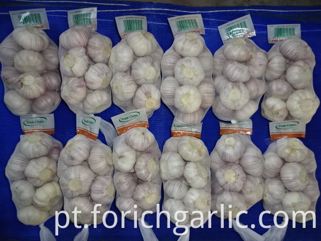 Good Quality Regular White Garlic